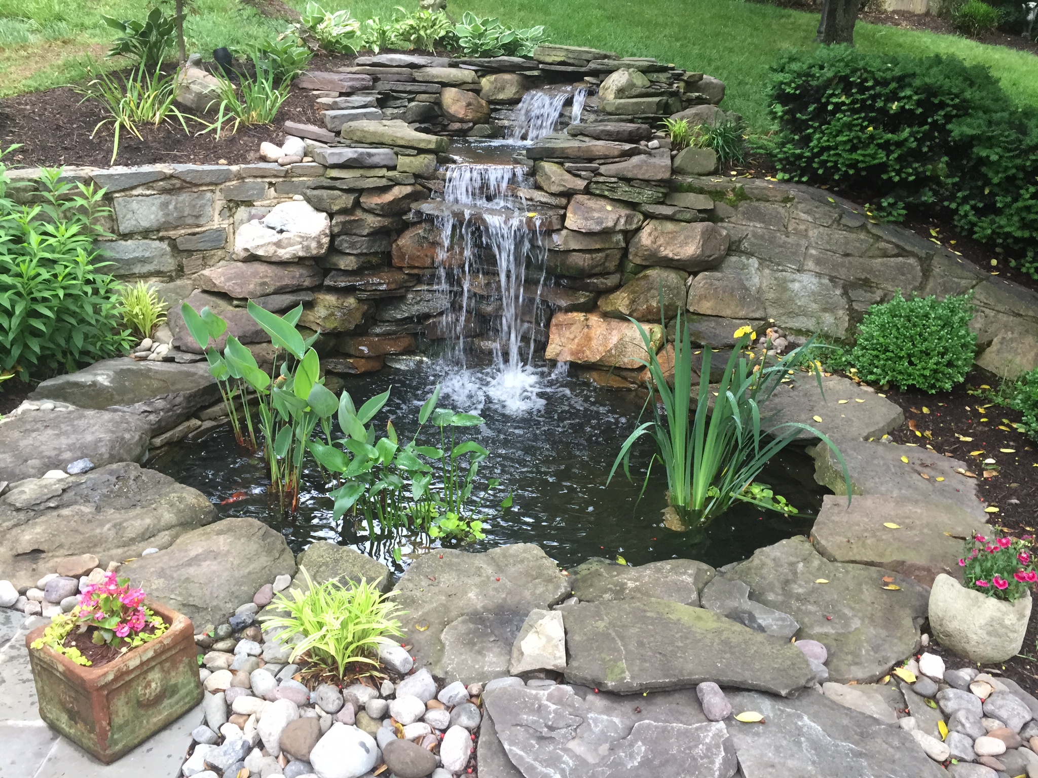 - Pond Pro LLC